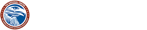 NETTAP Logo